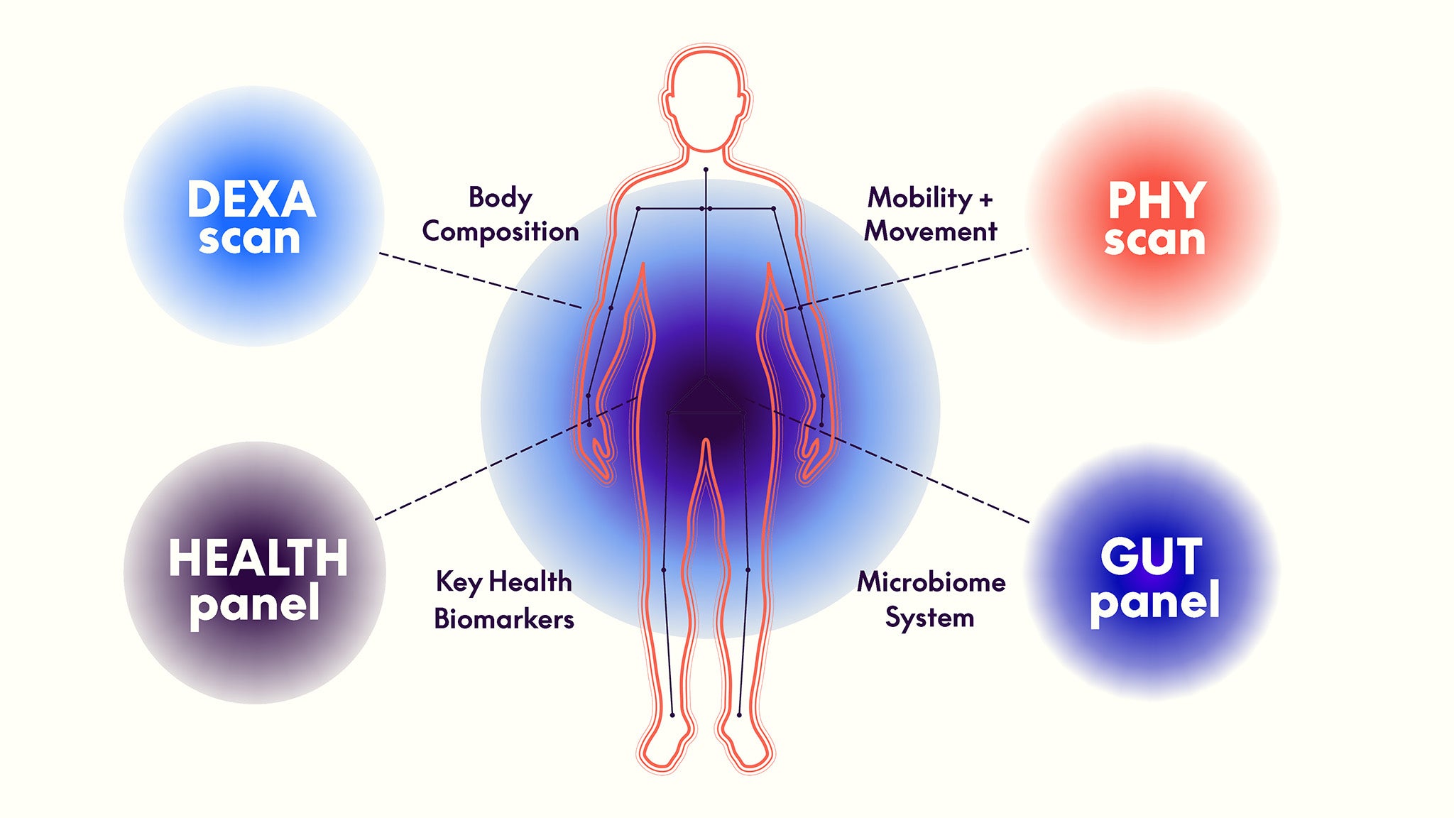 Whole-body Package – We Are BOD Inc.
